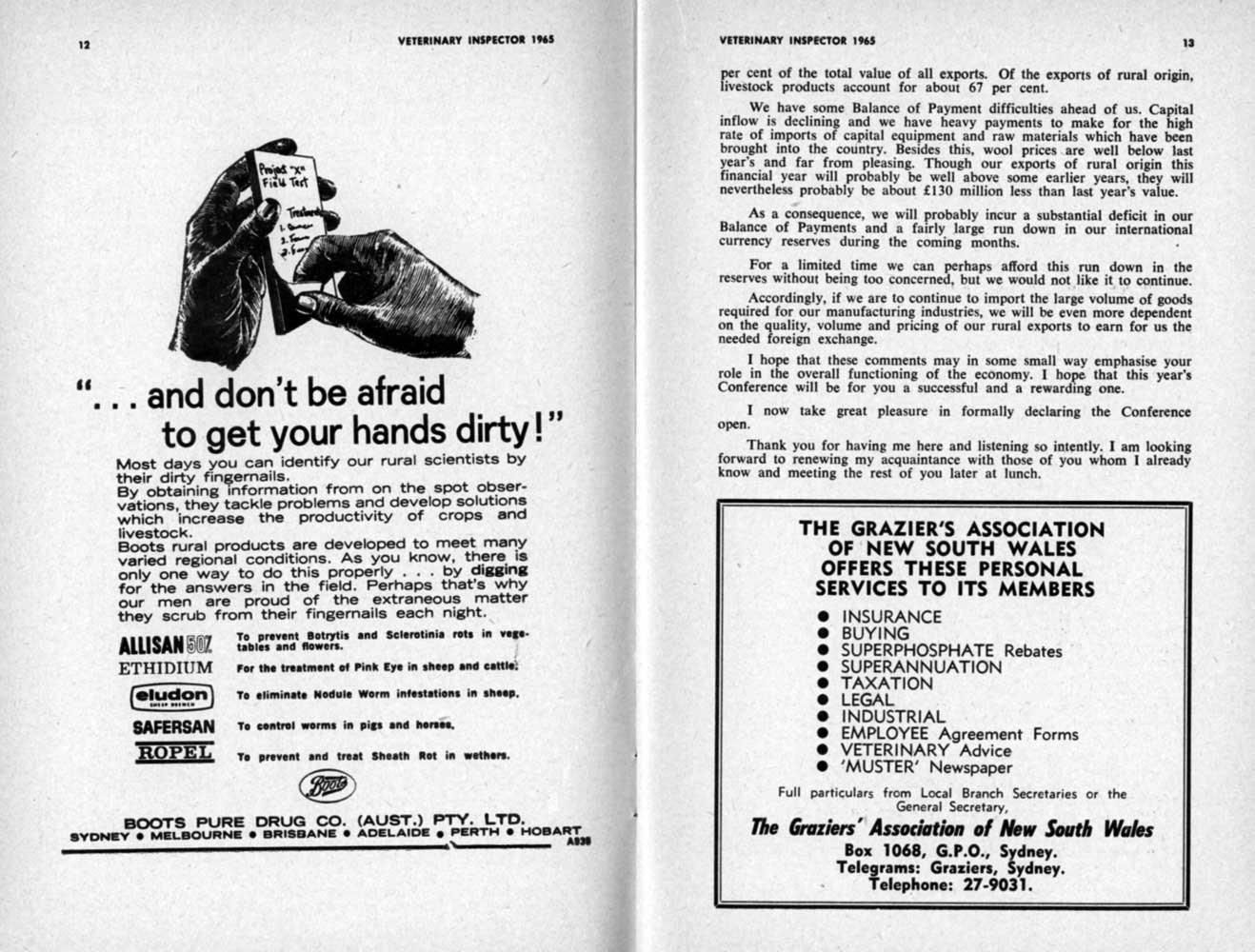 1965 Page 12 13